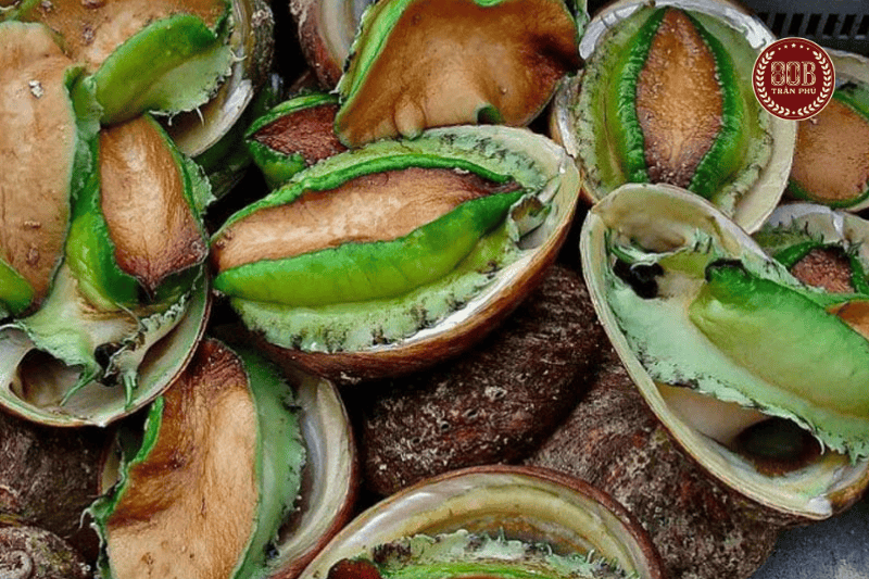 bào ngư úc viền xanh