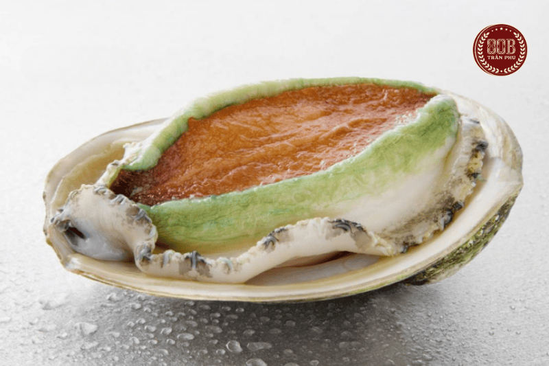 bào ngư úc viền xanh