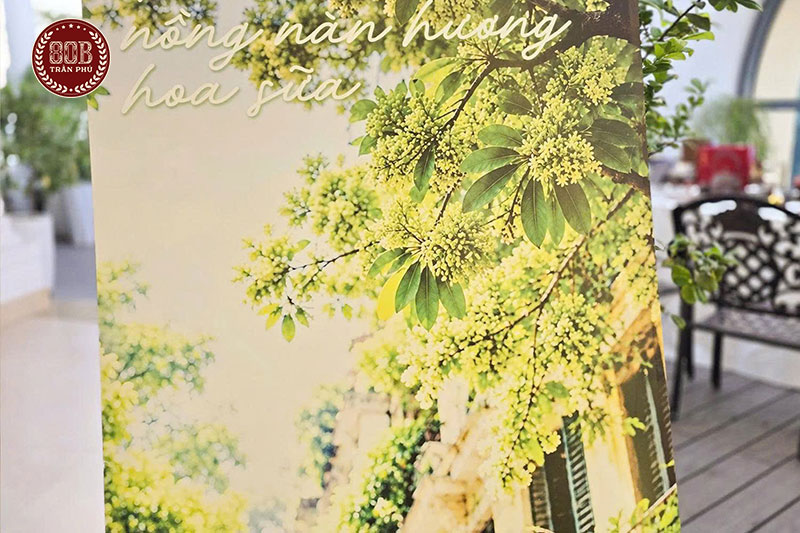 Thu Hà Nội - Nồng nàn hương hoa sữa: Lắng đọng cùng tiệc trà trên tầng cao